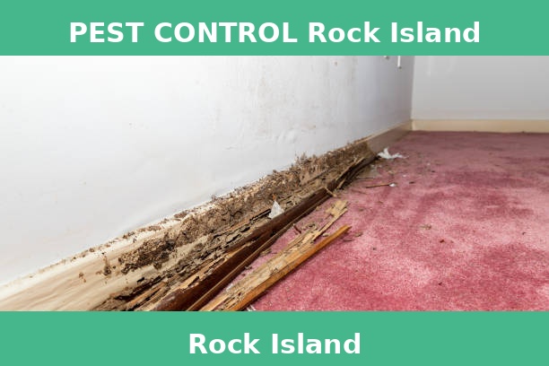PEST CONTROL Rock Island